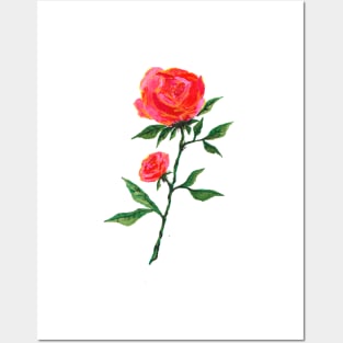 Red Rose Watercolor Posters and Art